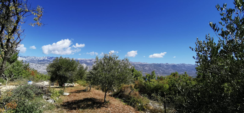 Blick vom Grundstück länglich, auf Velebitgebirge mit Bäumen und klarem blauen Himmel in blühender malerischer Landschaft.